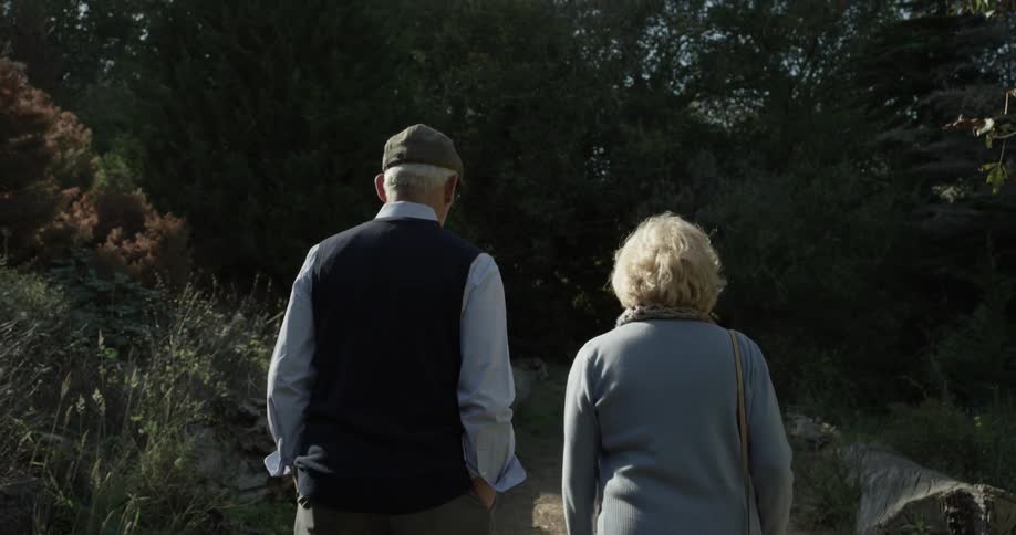 An elderly couple stroll through the woods on a path on a sunny day
