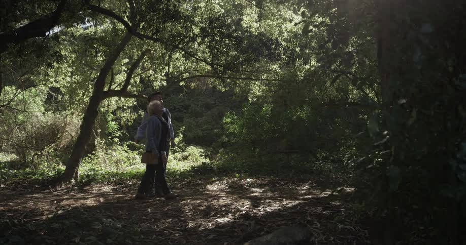 Elderly Couple On A Walk