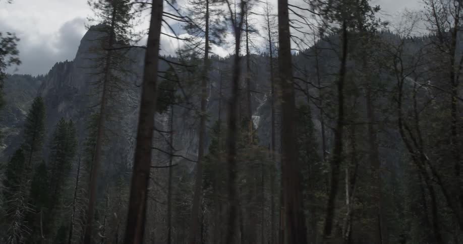 Huge cliffs can be seen through trees with fluffy clouds above them