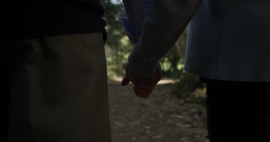 Close up of man and woman holding hands at the walk through a path in the park on a sunny day