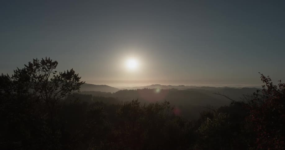 The sun beams over the grassy field