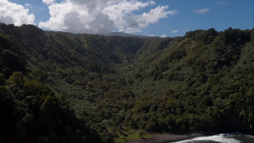 Tree covered valley borders shore