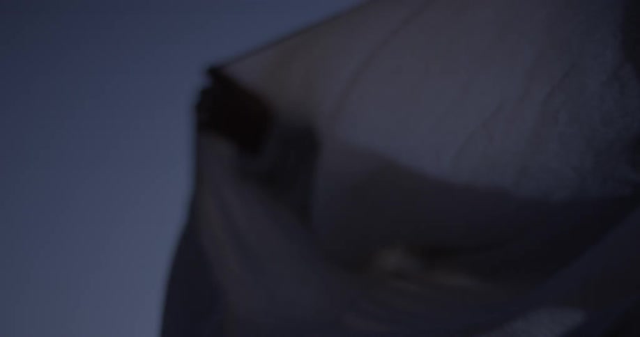 Woman holds her scarf up in the breeze at dusk