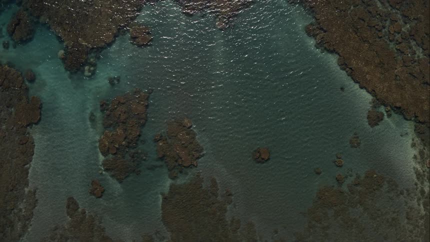 Clear water with brown reefs
