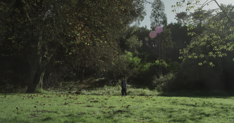 An old couple walk through a clearing in the forest to a large tree
