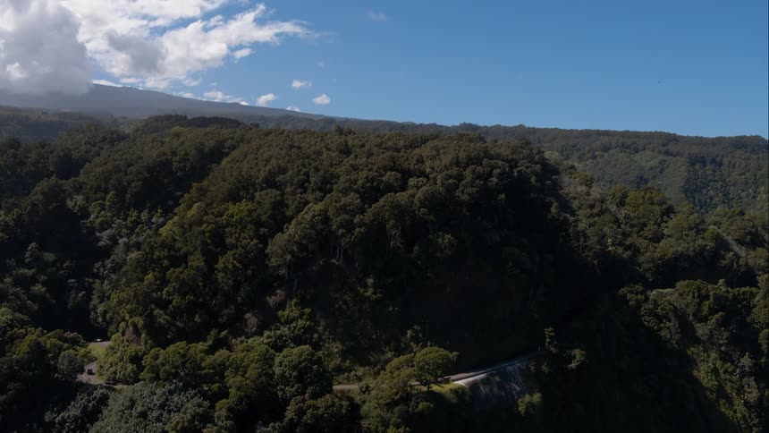 Hills covered in trees rise up sharply from the ocean