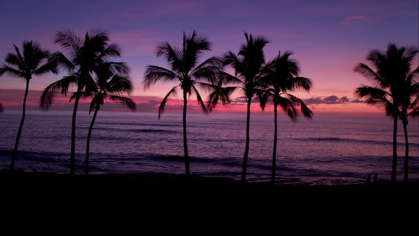 A brilliant purple sunset lights up palm trees on the coast
