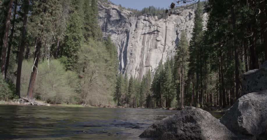 A river flows through a forest with a cliff in the background