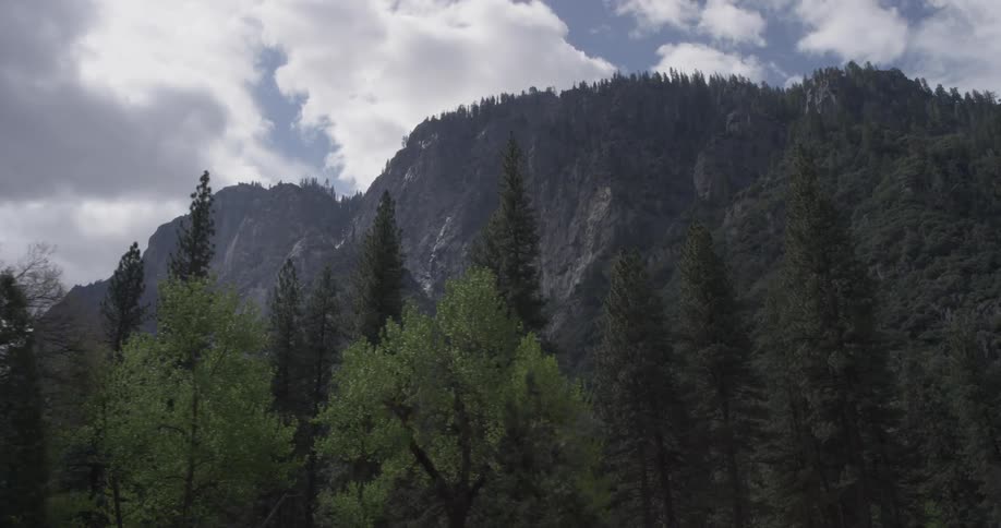 Yosemite Scenics