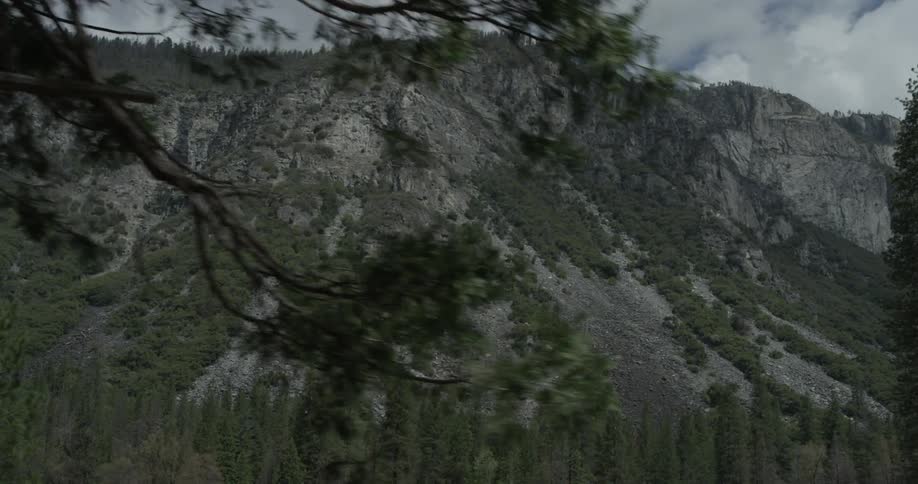 Yosemite Scenics