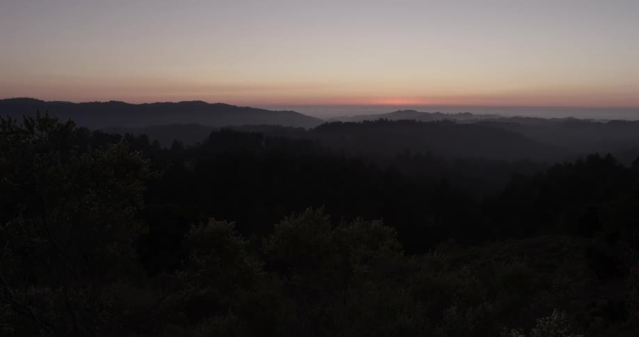 Aerial shot of a forest during the sunrise