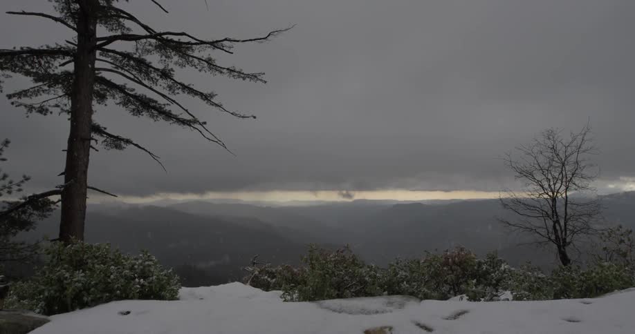 Yosemite Scenics