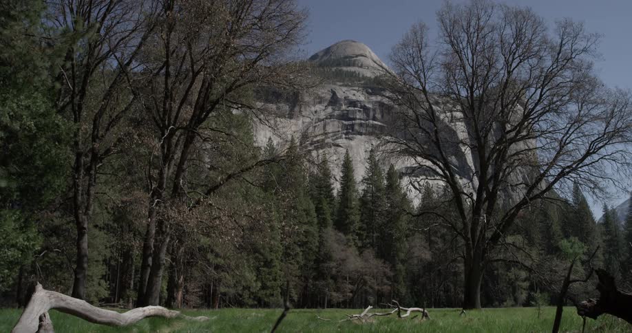 Yosemite Scenics