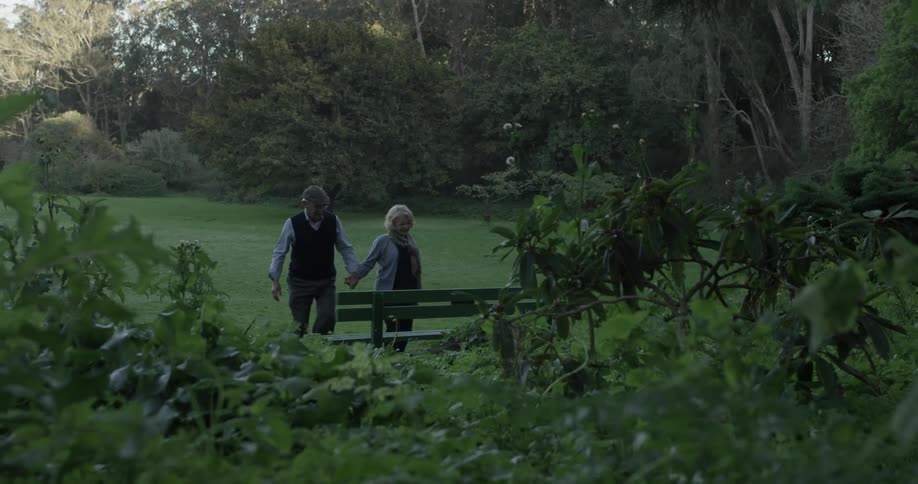 A dog runs in the background of an elderly couple walking through the park towards a bench to sit and talk