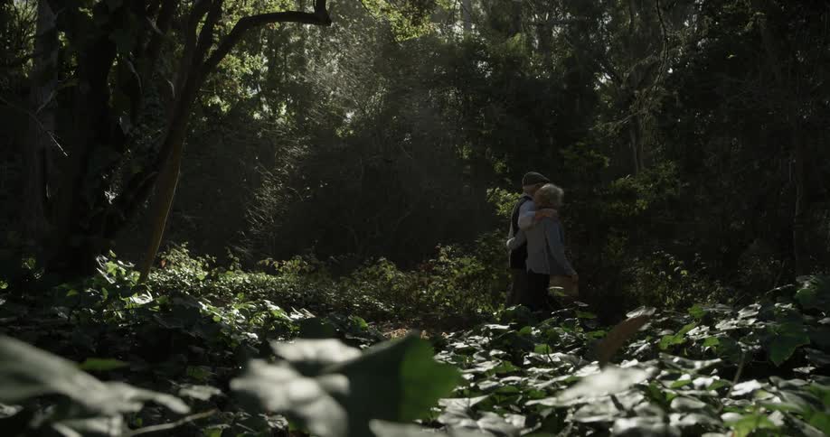 Elderly Couple On A Walk
