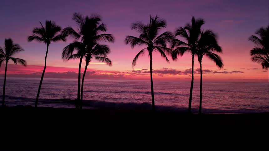 Purple pink sunset with palm trees on the beach and a nice ocean front with some clouds in the sky