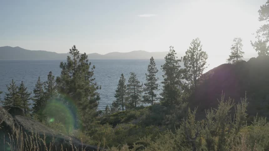 Road Trip Scenics