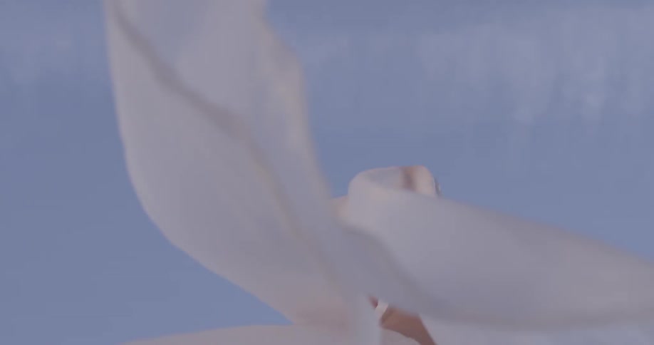 Woman waves filmy cloth over her head