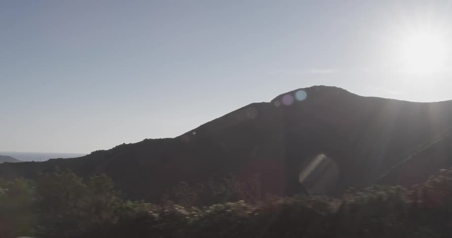 Trees and brush flow to mountain