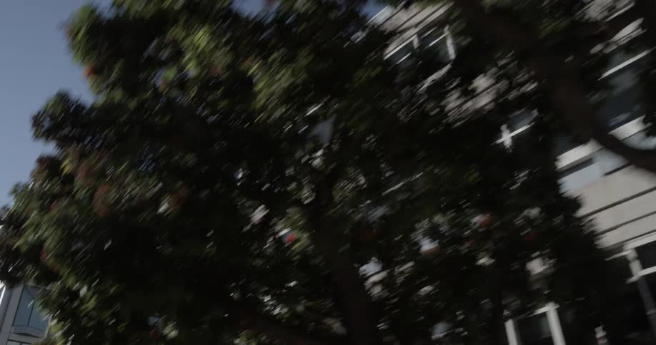 San Francisco Scenics