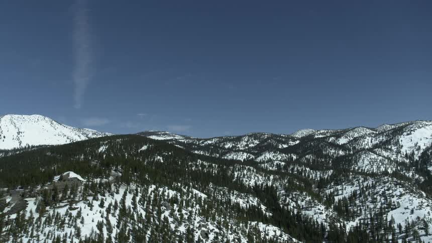 A forest grows along a mountain