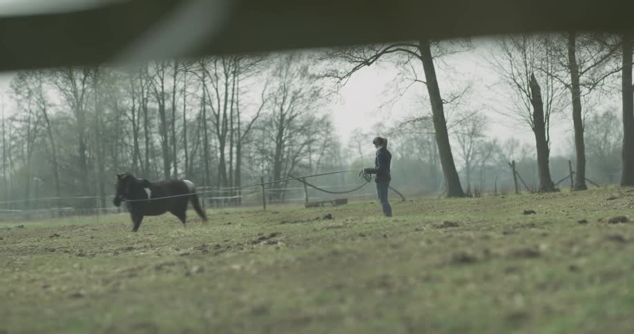A person with a horse on a leash