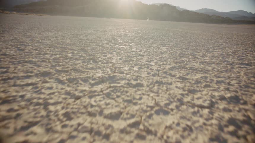 Ice cracks on the surface of an ocean