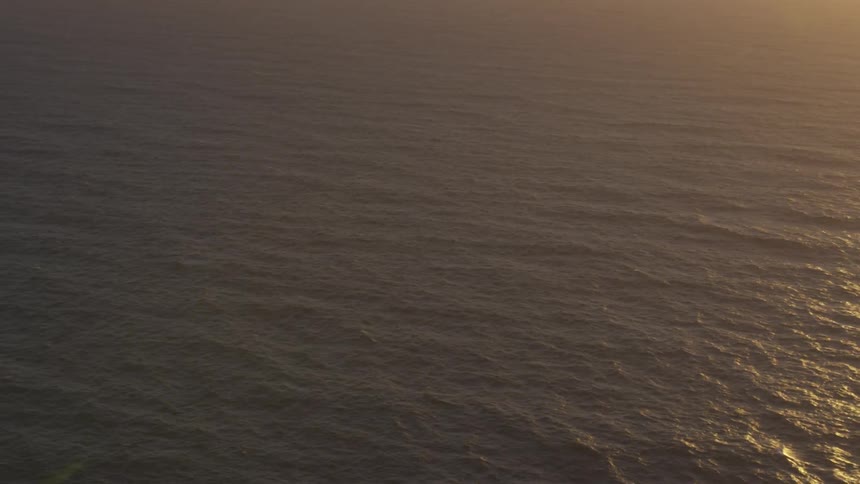 Coastal Forest Aerials