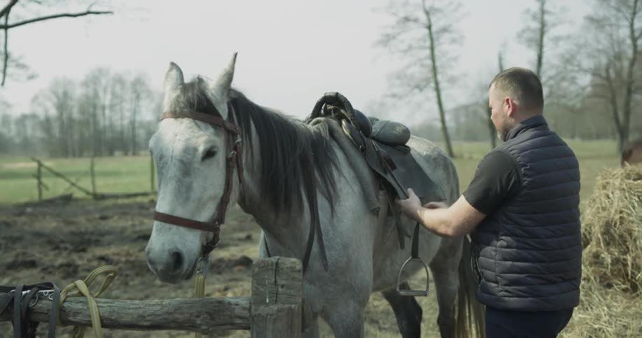 A man is fixing a saddle on a horse