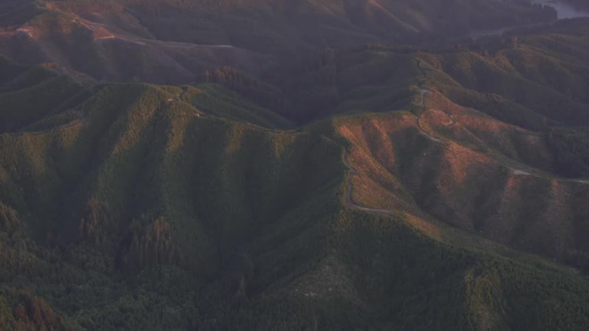 Coastal Forest Aerials