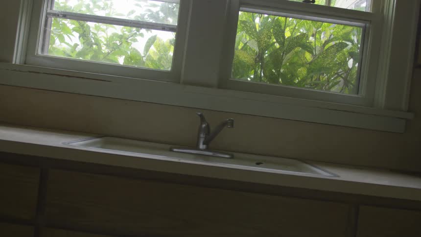 Leaves show through a window above a kitchen sink