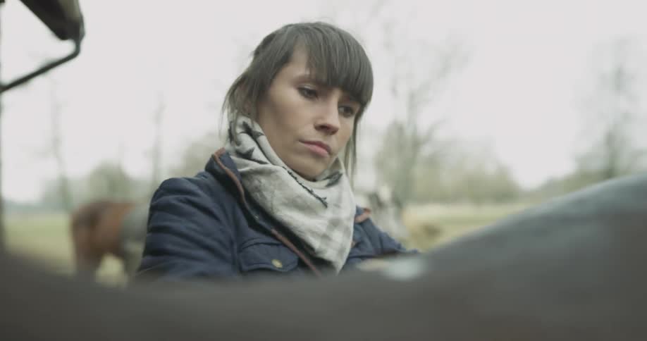 Woman brushes a horse