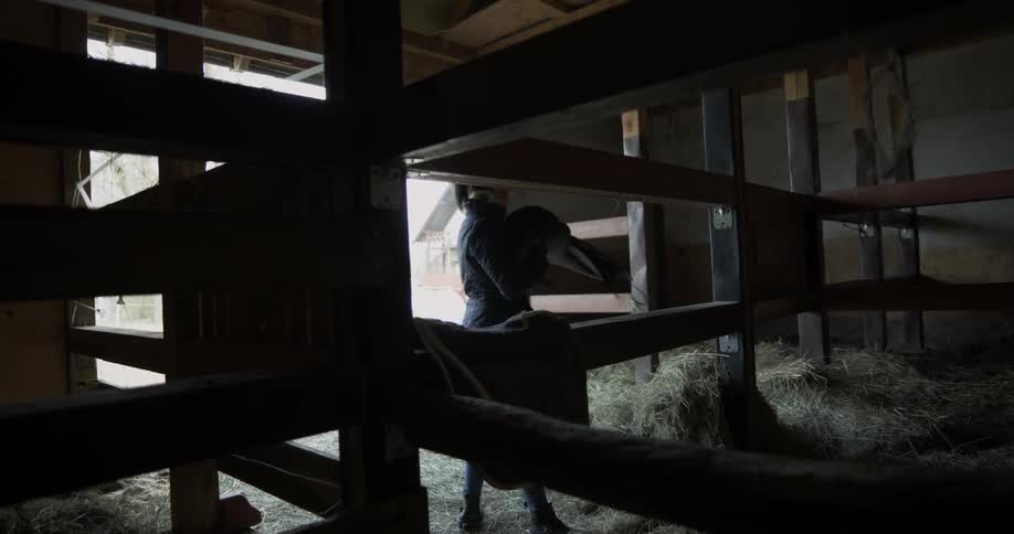 A woman grabs a saddle and walks out of the barn
