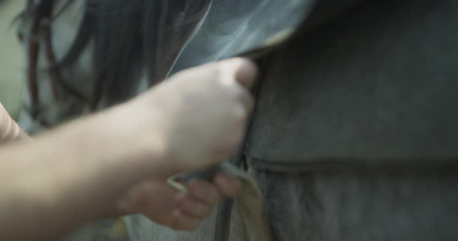 Horse Stables