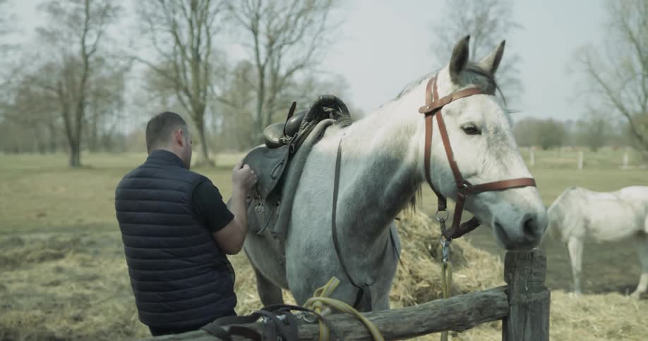 A man is adjusting a saddle on a horse