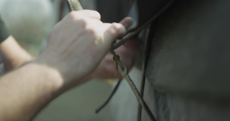 A person is fixing a saddle on a horse