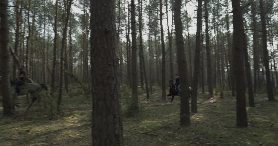 Two people riding horses through a forest