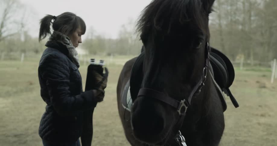 A woman places a saddle on a horse and tightens the straps