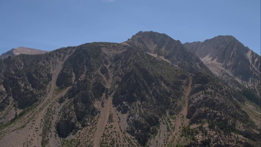 There are trees on the mountainside