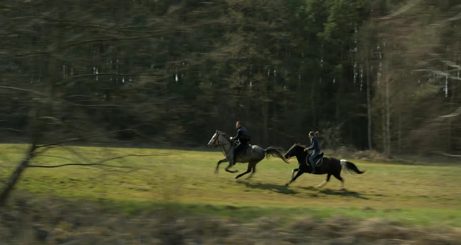 Horse Stable Aerials