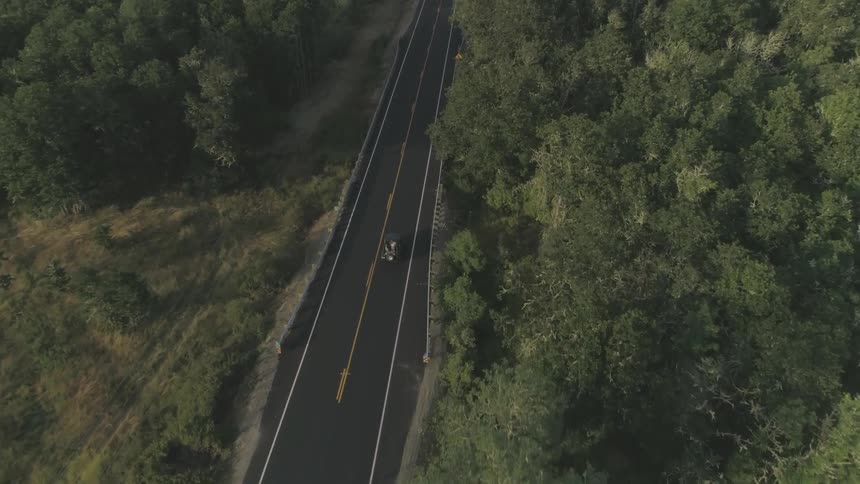 A car driving into a forest on a sunny day