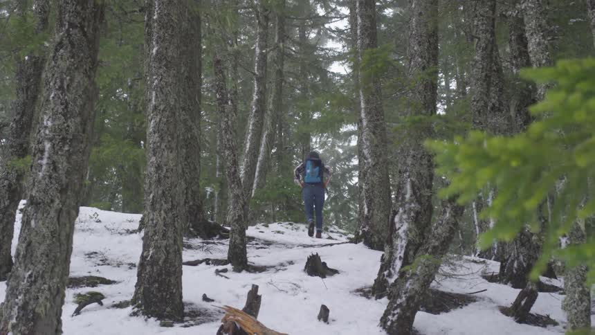 A person walks through the woods with a backpack over snow covered ground with green leaves on a bright sunny day