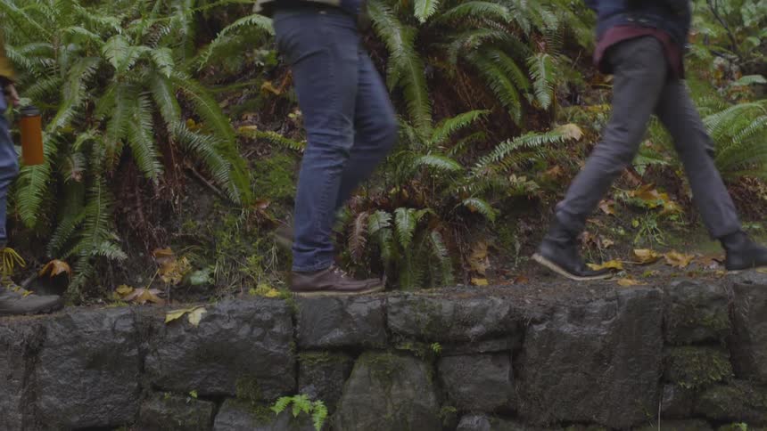 Friends Hiking In Foggy Forest
