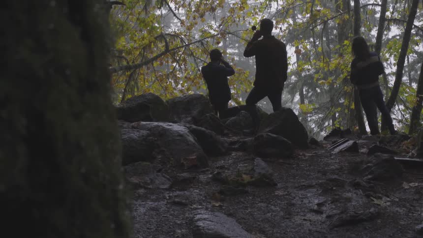 Three people standing in forest