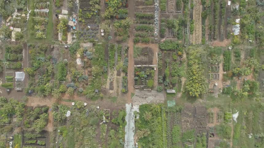 Garden Aerials