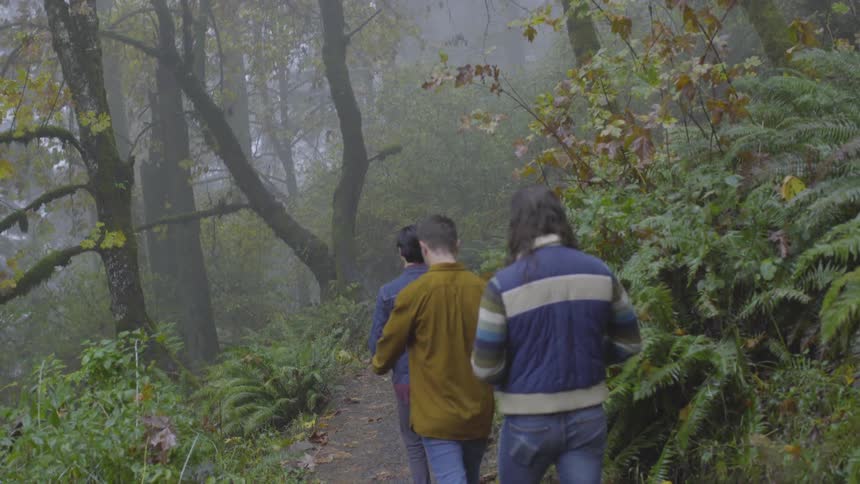 Three people walking through a forest path