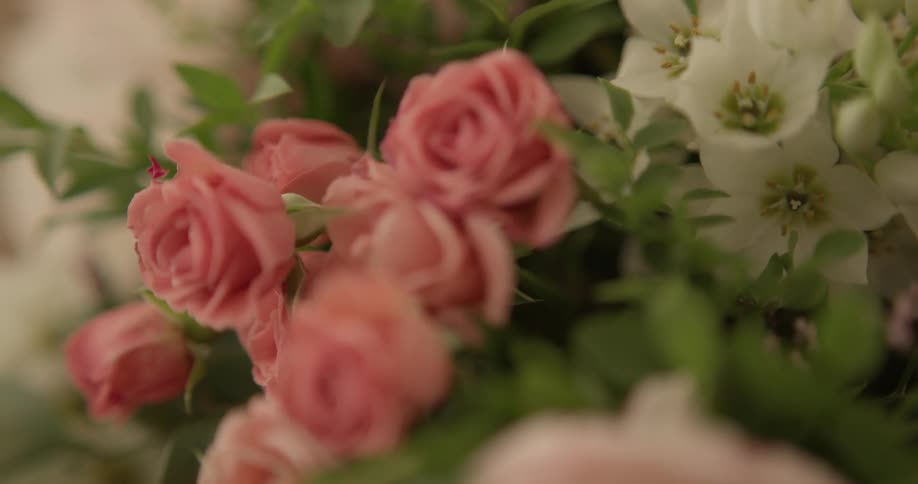 Pink roses are in a bouquet with white flowers