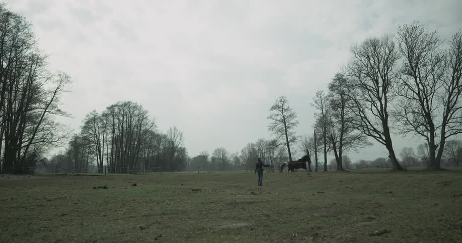 A horse is running outside