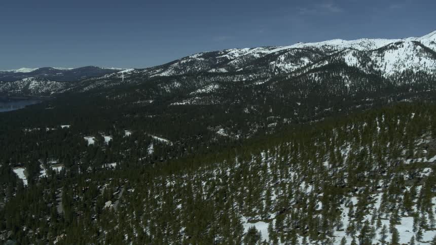 A forest of trees grows along a mountain range