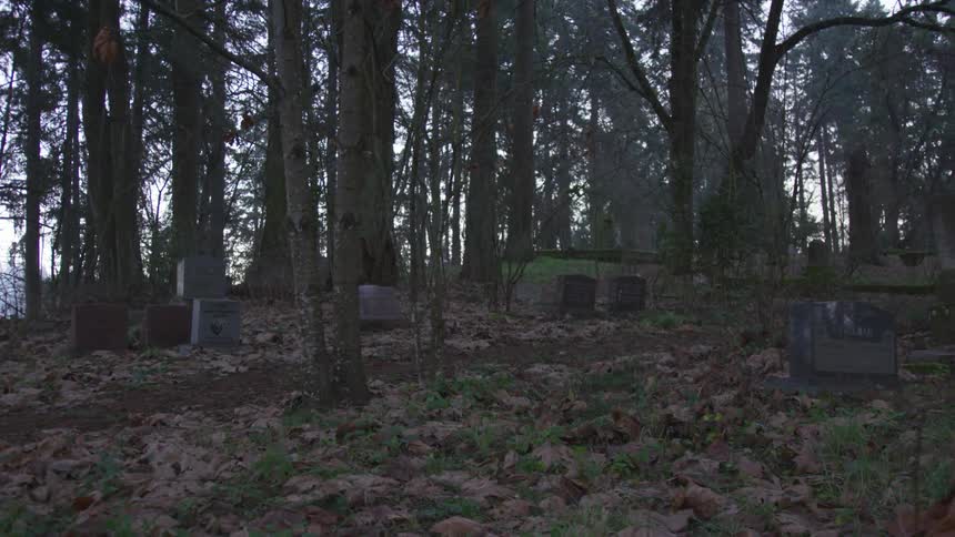 Cemetery In Forest